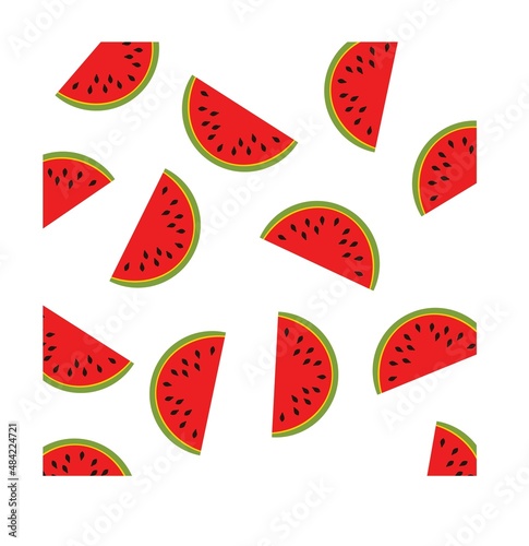 sliced water melon fruit vector design