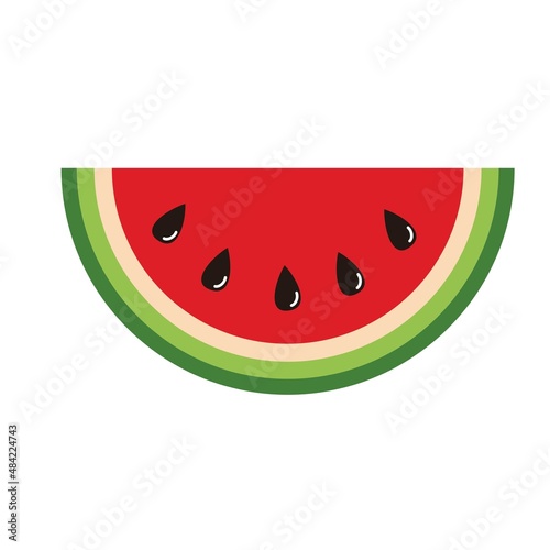 sliced water melon fruit vector design