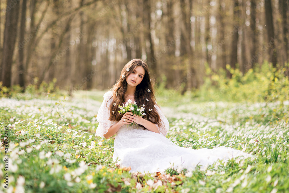 young beautiful woman in a white long dress collects primroses. Fairy girl in the spring forest. A bouquet of white flowers in her hands young beautiful woman in a white long dress collects primroses. Fairy girl in the spring forest. A bouquet of white flowers in her hands