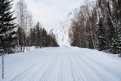 Snow-covered empty road without cars. A road going straight to the mountains. Tall mighty trees are covered with snow. A journey in the wild in winter © Aleksey