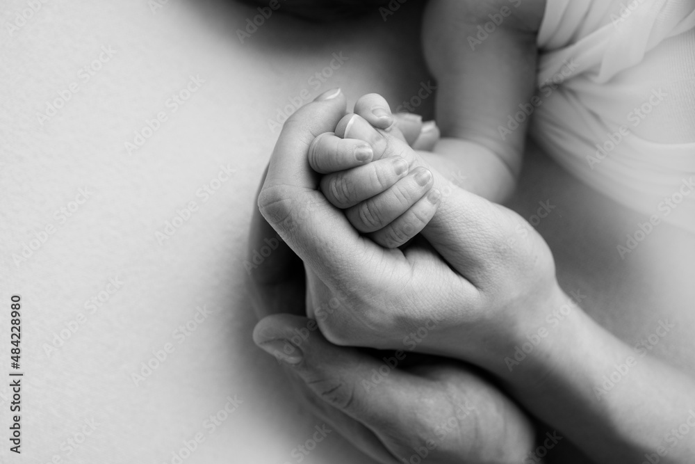 The hand of a sleeping newborn in the hand of mother and father close-up. Tiny fingers of a newborn. The family is holding hands. Studio macro photography. Concepts of family and love. Black white. The hand of a sleeping newborn in the hand of mother and father close-up. Tiny fingers of a newborn. The family is holding hands. Studio macro photography. Concepts of family and love. Black white.