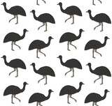 Vector seamless pattern of hand drawn doodle sketch colored emu ostrich isolated on white background