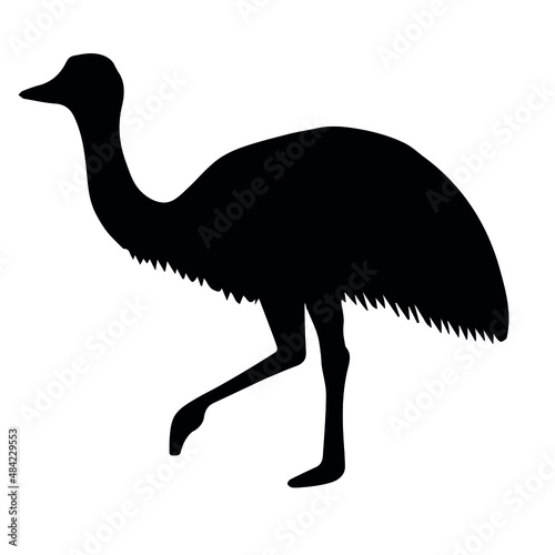 Vector hand drawn emu ostrich silhouette isolated on white background