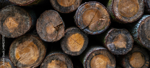 Wooden natural sawn logs as background. Wall of stacked wood logs. Stacked of firewood arranged neatly with cracks on cross section. Textured abstract background.