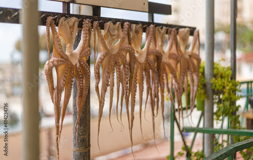 Octopuses hanging to dry in the sun in picturesque fishing harbour near the tavern on the bay in the Greek island Crete in town Chania
