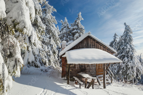 wonderful winter forest scenery with snow and wooden cabin chalet in the carpathhians © alpinetrail