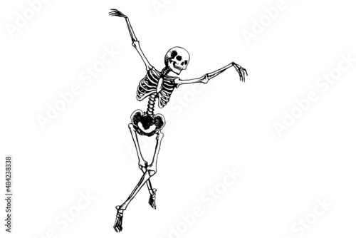 Human skeleton movement isolated on white background