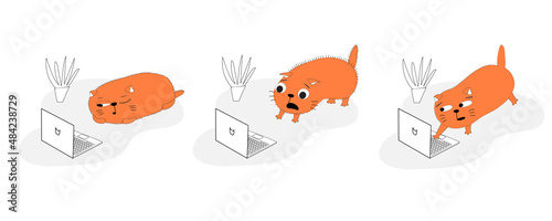 Cat and laptop. Set of vector illustrations about video games and movies to entertain bored cats.