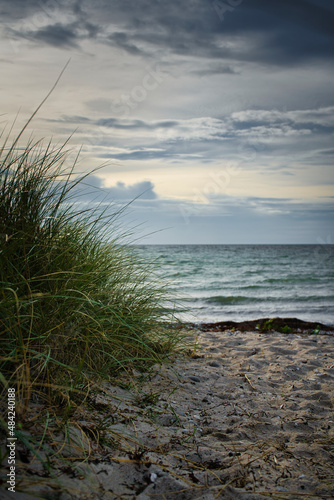 Strand und Düne an der Ostsee