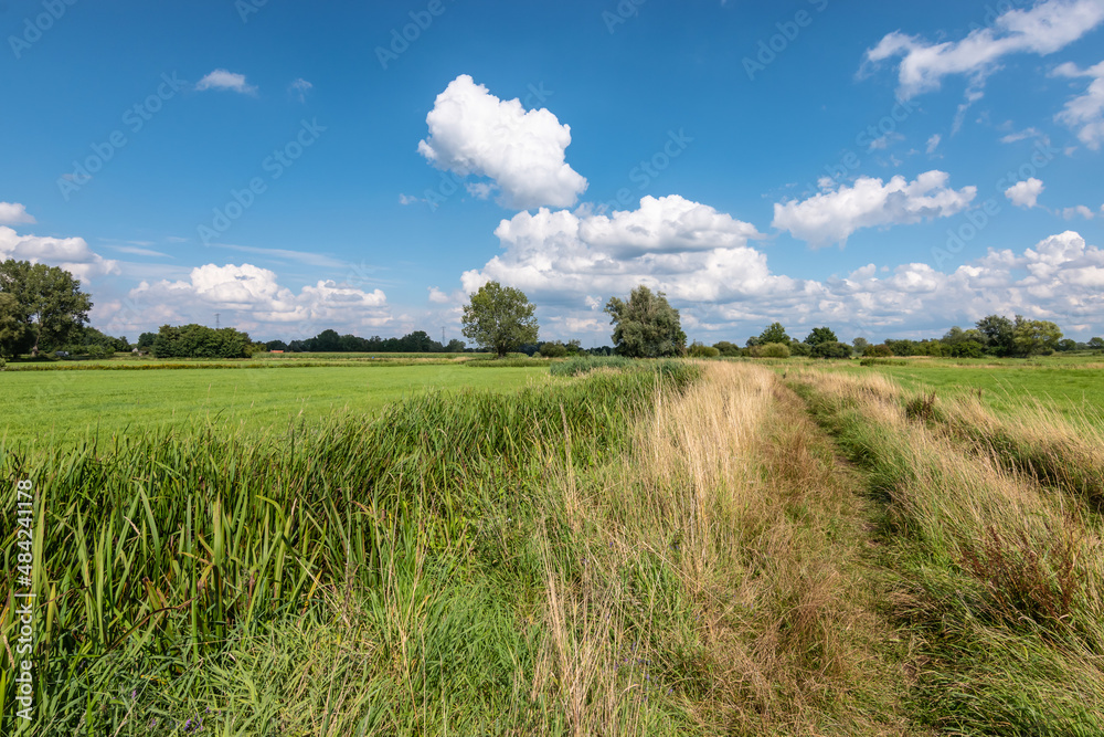 Panoramic grass field landscape in Belgium.