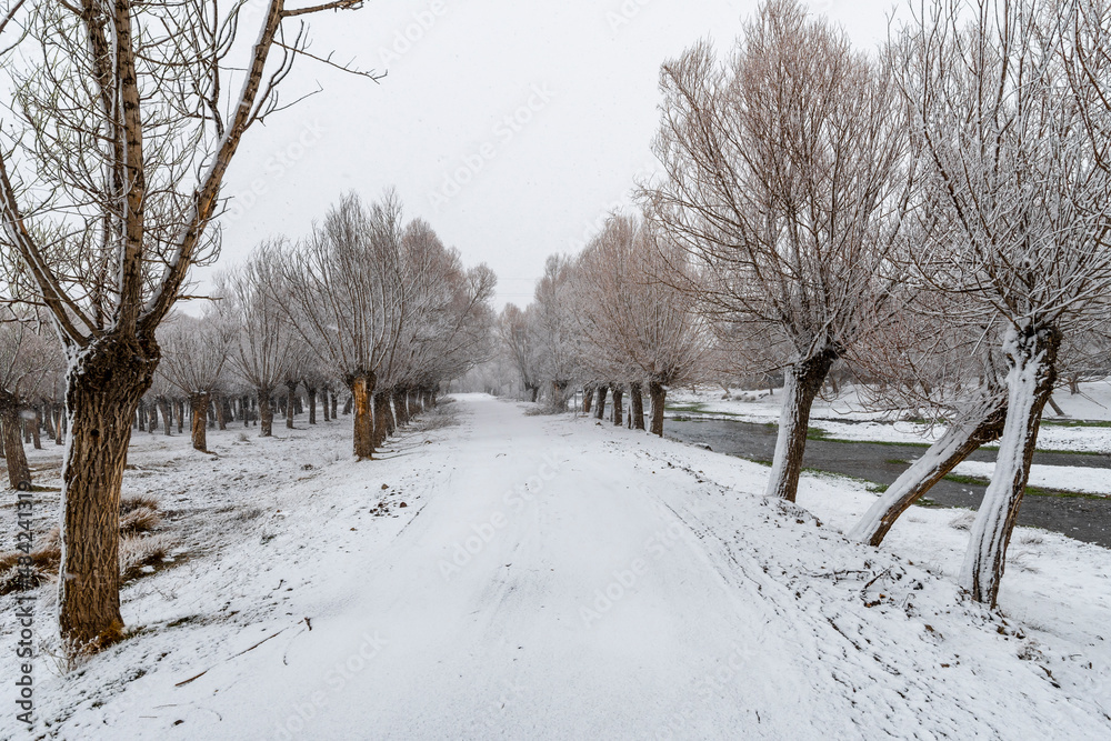 Snowing at landscape near Aksaray City in Turkey Snowing at landscape near Aksaray City in Turkey