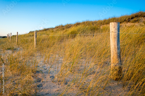 Sand dune and fence on a beach at sunset. Re Island © daboost