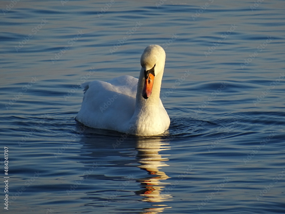 Obraz premium VARNA - Bulgaria