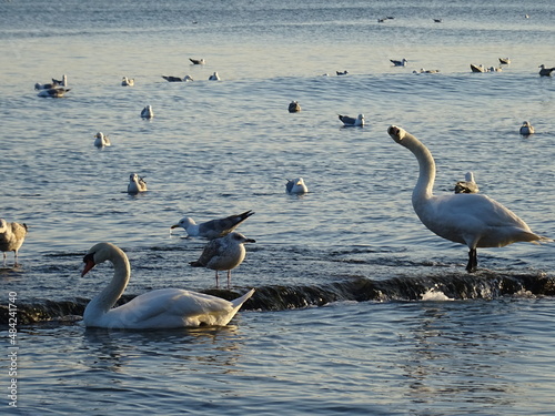 VARNA - Bulgaria