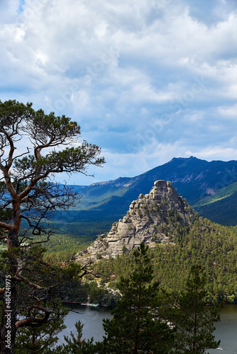 scenic view of a mountains overgrown with forest