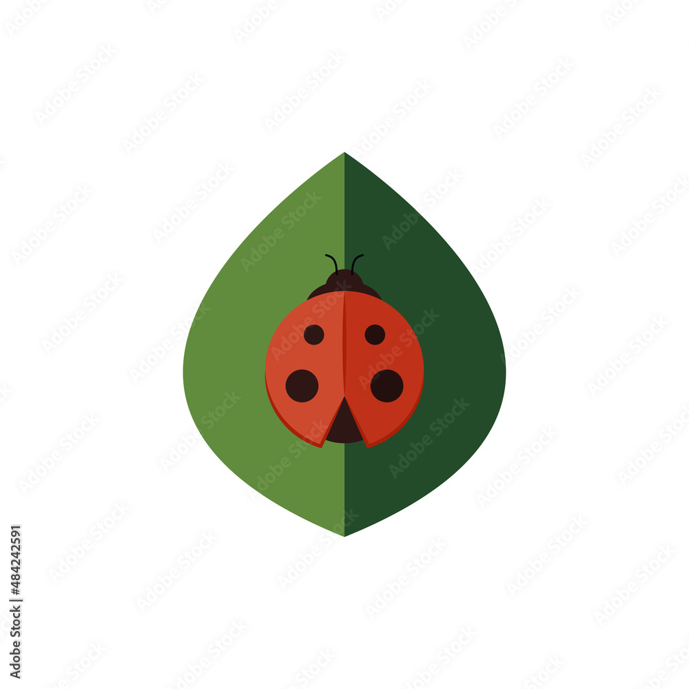Ladybug on green leaf. Leaf logo design. ladybug cartoon. Ladybug on green leaf. Leaf logo design. ladybug cartoon.