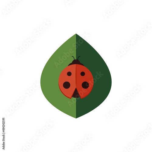 Ladybug on green leaf. Leaf logo design. ladybug cartoon.