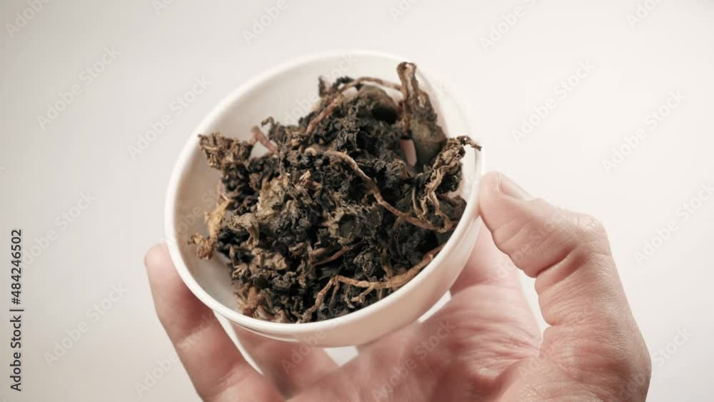 Green Chinese tea leaves in white cup. White background. Green Chinese tea leaves in white cup. White background.
