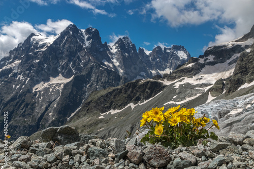 Le Pelvoux , Massif des Ecrins en été , Hautes-Alpes , France photo