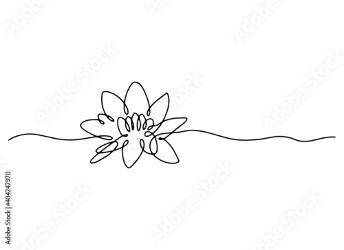 Line art water lily. Minimal lotus