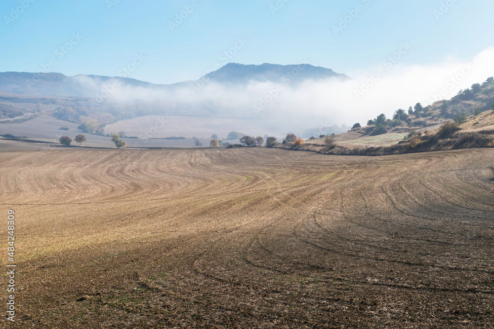 Autumn fields in the Aranguren Valley. Navarre