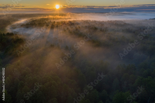 Foggy sunrise forest at Ugra national park  Russia