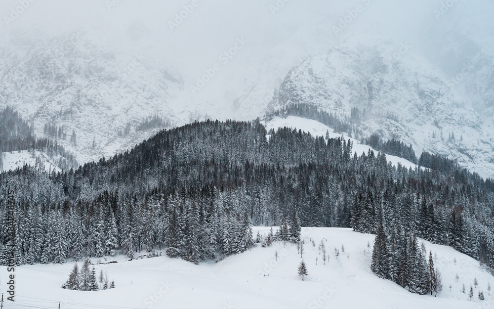 Obraz premium snow covered mountains