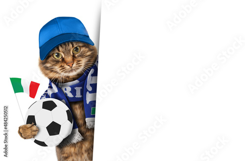 Fototapeta Naklejka Na Ścianę i Meble -  Funny cat with soccer ball on white background. Scarf of Italy. White space for text. Football theme.