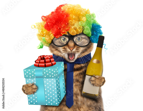 Photography Funny cat is wearing clown's costume and holding a bottle of champagne and gift