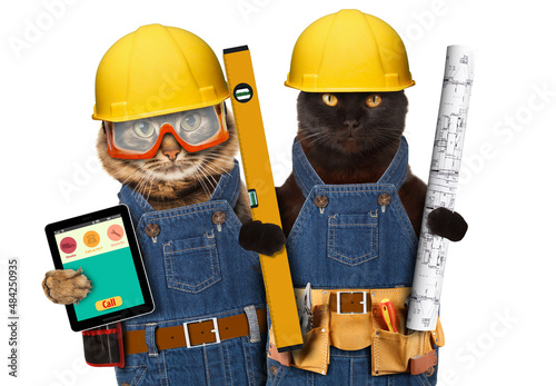 Canvas Print Funny cat is wearing a suit of builder and holding a smartphone