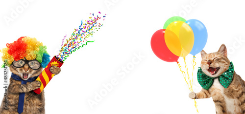 Funny cats are wearing clown's costume and holding balloons and petard. White label for text.