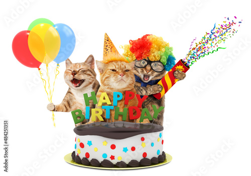Canvas Print Funny cats with happy birthday cake