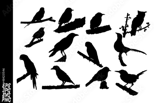 set of Bird silhouette