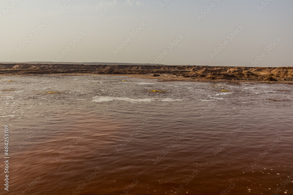 Gaet'ale Pond in Danakil depression, Ethiopia. Hypersaline lake with bubbling gas.