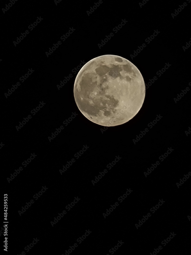 Obraz premium full moon in the night sky