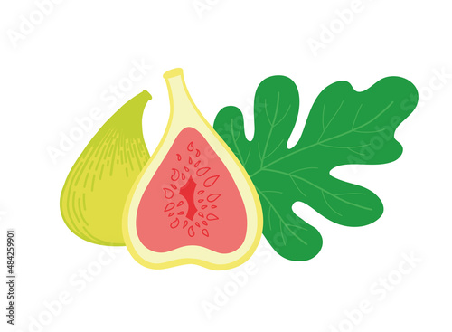 Whole green fig with half and leaf. Vector illustration isolated on white.