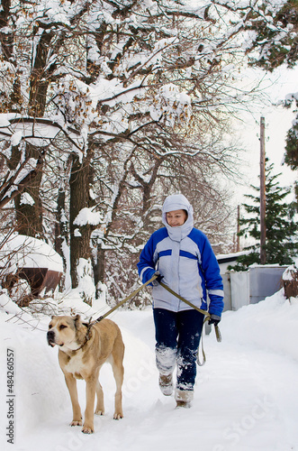 A woman in a sports jacket walks her Alabai dog on a winter day. Vertical photography.