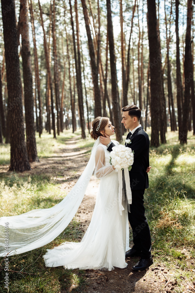 a handsome groom with a beautiful bride are walking in a pine park. portrait of newlyweds in love. lovers embrace