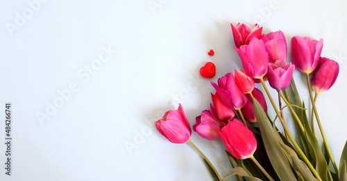 Fototapeta Naklejka Na Ścianę i Meble -  bouquet of dark pink tulip flowers on blue background selective focus, mother's day, women's day.