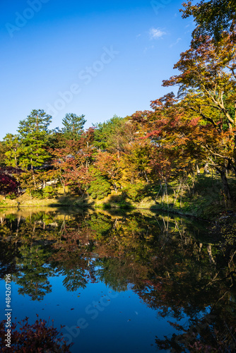 Fall colors around the pond at Kodaji Temple in Kyoto Japan with a mirror like reflection in the water in the early morning light. © Jason Yoder