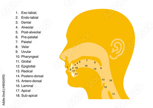 Main places and manners of articulation