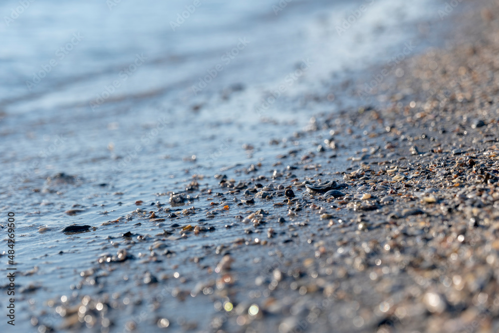 sandy beach dotted with small shells against the background of transparent sea water sandy beach dotted with small shells against the background of transparent sea water