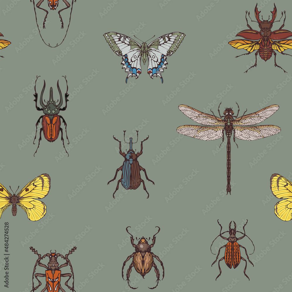 Vector seamless pattern with various hand-drawn insects. Repeating background with colored butterflies, beetles, dragonfly on a grey backdrop. Suitable for wallpaper, wrapping paper or fabric design Vector seamless pattern with various hand-drawn insects. Repeating background with colored butterflies, beetles, dragonfly on a grey backdrop. Suitable for wallpaper, wrapping paper or fabric design
