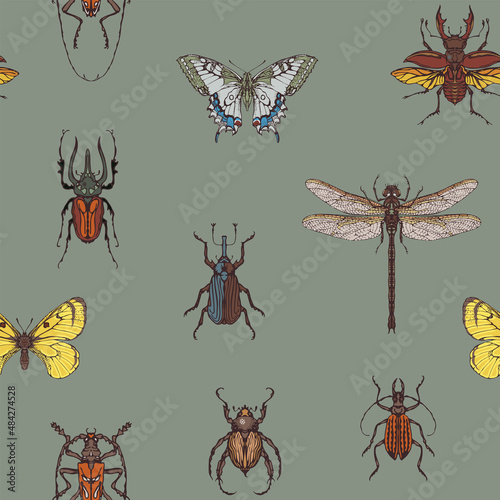 Vector seamless pattern with various hand-drawn insects. Repeating background with colored butterflies, beetles, dragonfly on a grey backdrop. Suitable for wallpaper, wrapping paper or fabric design