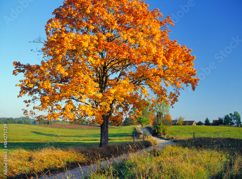 Fototapeta Naklejka Na Ścianę i Meble -  Mazury jesienią