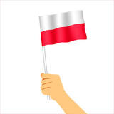 Hand holding Polish flag. State flag of Poland. National white-red flag.  Waving flag illustration isolated on white background.