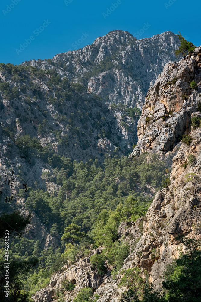 mountain landscape, limestone wooded rocks of the Taurus range
