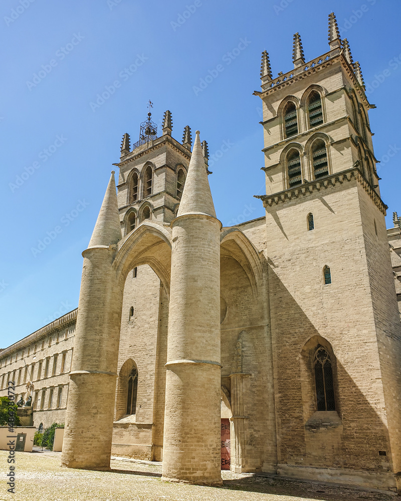 Cathédrale de Montpellier en été 