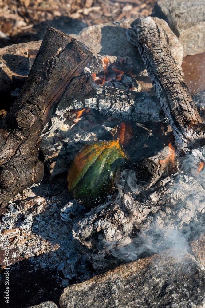 Acorn squash cooking directly on an open fire Acorn squash cooking directly on an open fire