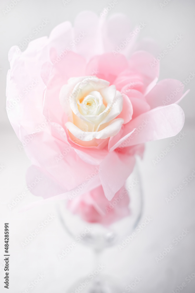 Spring moments with white rose wrapped in pink craft paper Spring moments with white rose wrapped in pink craft paper